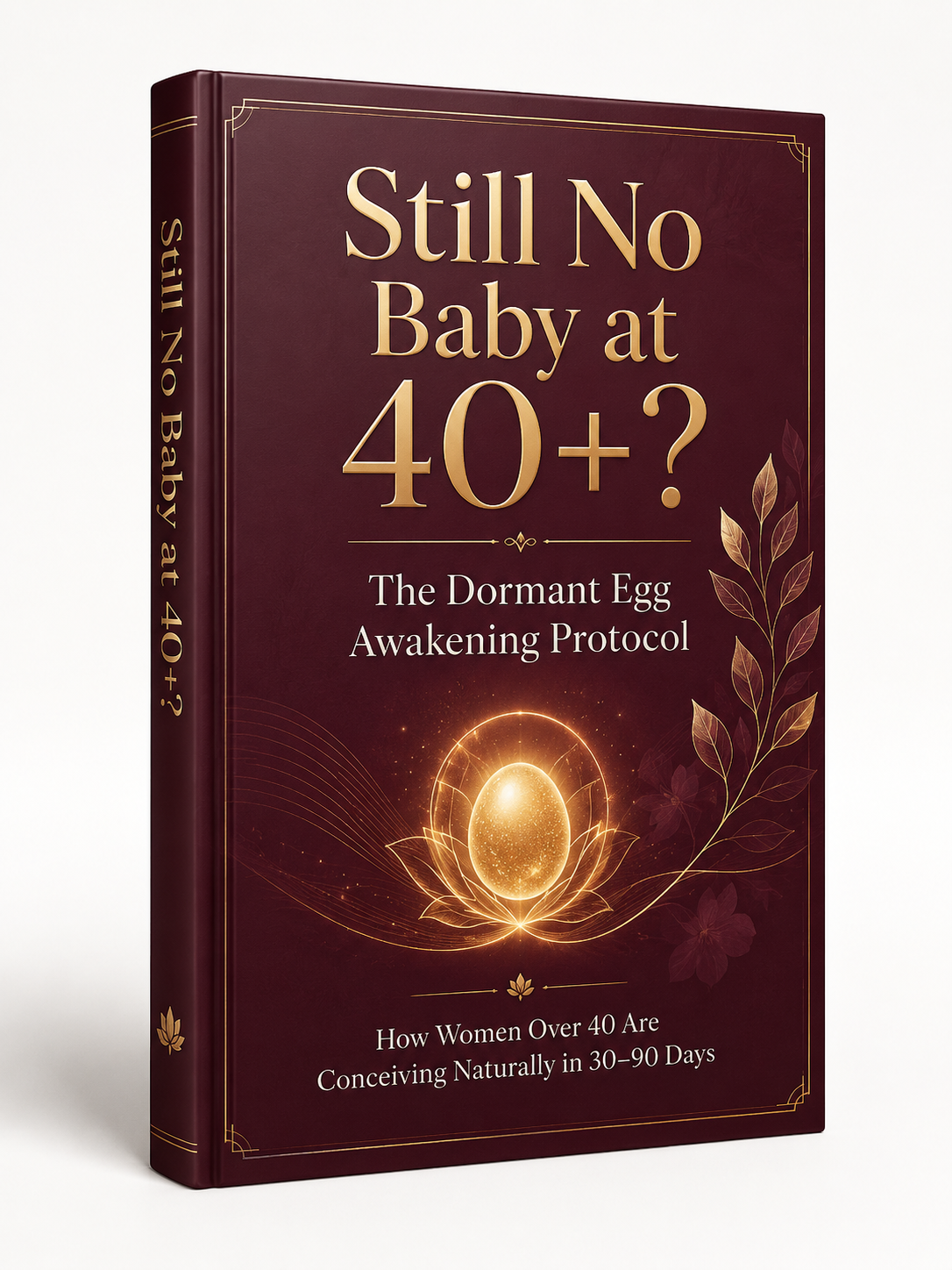 Still No Baby at 40+ — The Dormant Egg Awakening Protocol guide cover